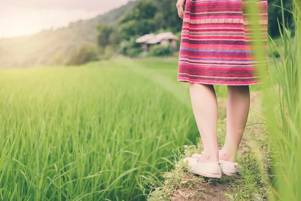 Woman traveler walking on green rice terraces field