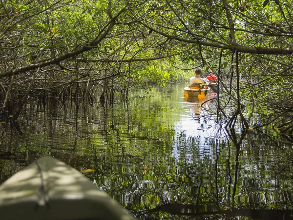 Kayaking in Everglades National park, Florida, USA