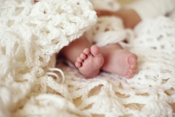 Photo of cute baby feets in cozy knitted blanket