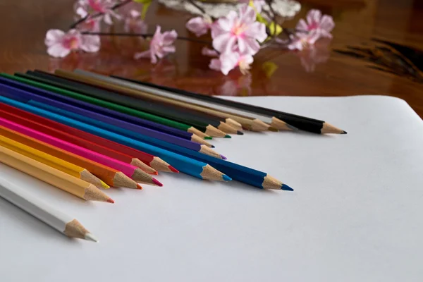 Colored pencils and flowers on table