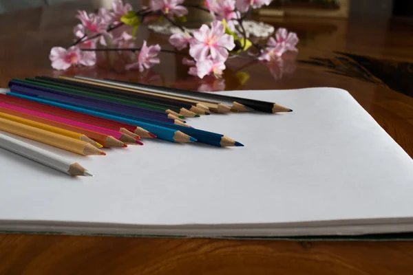 Colored pencils and flowers on table