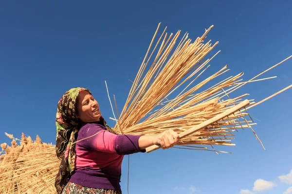 Woman workers harvest reeds