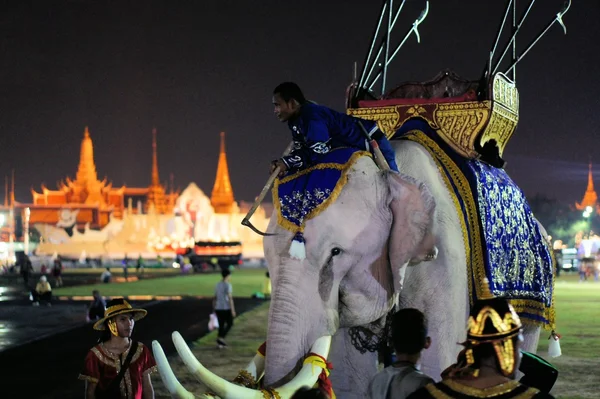 Royal white elephant at Thai Kings birthday, a major holiday in thailand