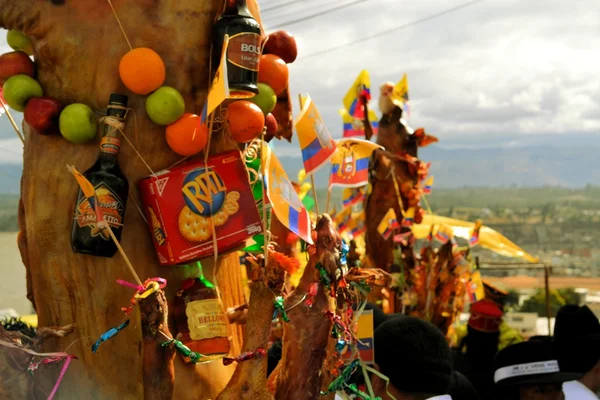 Pigs adorned with fruits, spirits, flags and guinea pigs at La Fiesta de la Mama Negra traditional festival