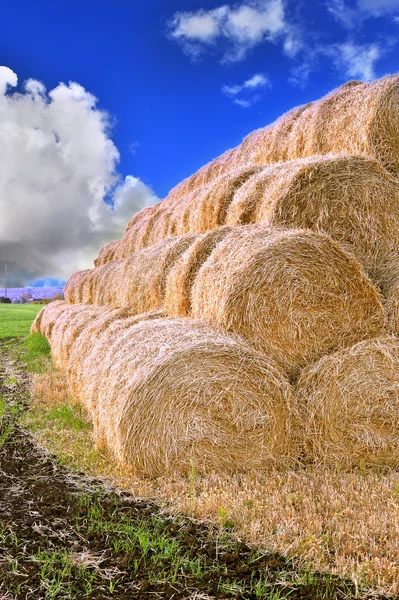 Rolls of hay stacked in a stack on the field against the blue sky