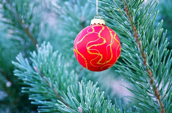 The red sphere hangs on a fir-tree close up