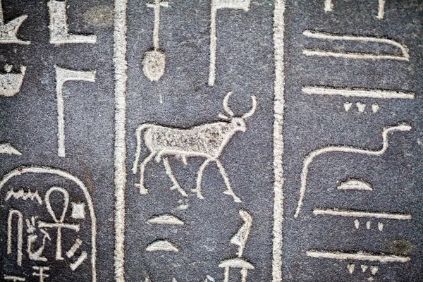 29. 07. 2015, LONDON, UK, BRITISH MUSEUM Hieroglyphs on egyptian coffins