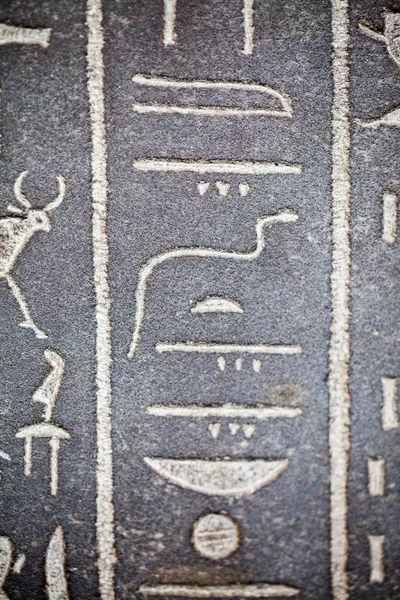 29. 07. 2015, LONDON, UK, BRITISH MUSEUM Hieroglyphs on egyptian coffins