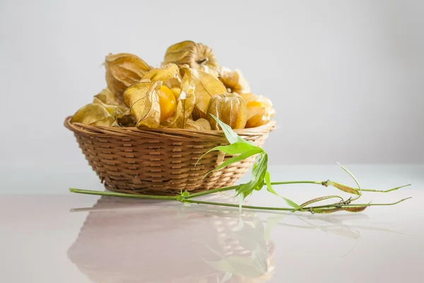 Physalis peruviana fruits in a basket with light grey background and reflexions