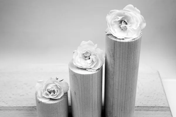Black and white, still life composition with wooden geometrical pieces with white roses and light grey background