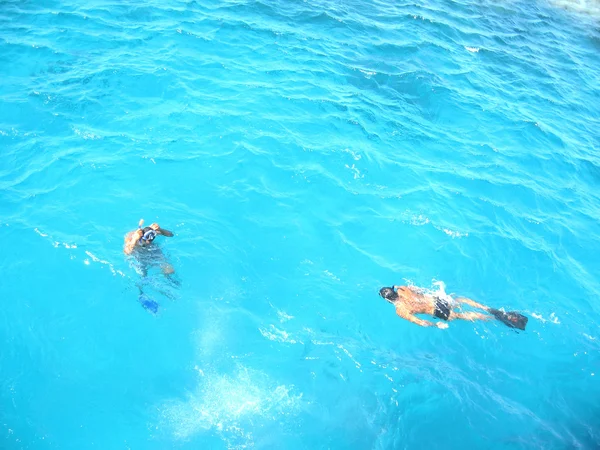 Men in masks and flippers floating in the azure sea