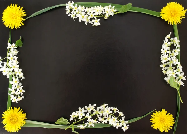 Frame from flowers of wild cherry, dandelions and berries of wild rose on black background. Floral frame a wreath from the branches of wild cherry with leaves on a  black background.