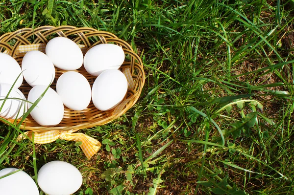 Eggs in a wicker basket on the grass, top view. Basket with eggs on grass. White chicken eggs in a wicker basket on the grass, top view
