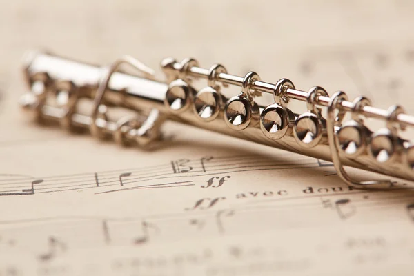 Flute on musical notes background