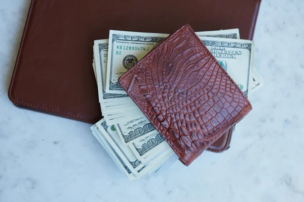 Leather purse with money