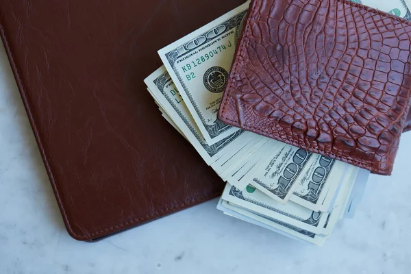 Leather purse with money
