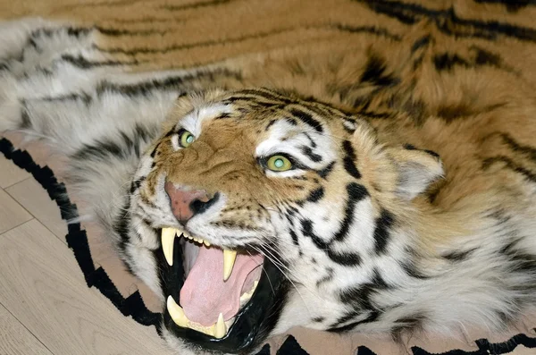 Carpet representing skins and heads aggressive snarling tiger adornment of interior