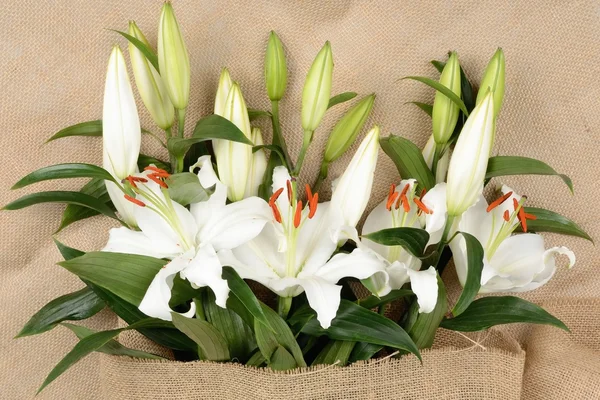 Beautiful bouquet of white lilies on a background from a sacking cloth