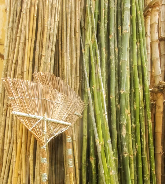 Bamboo and Bamboo products