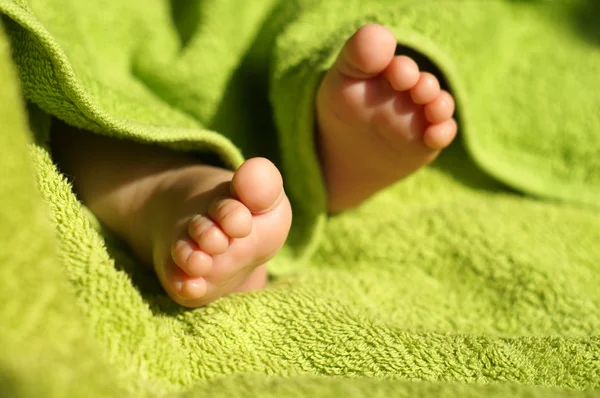 Baby Feet under blanket