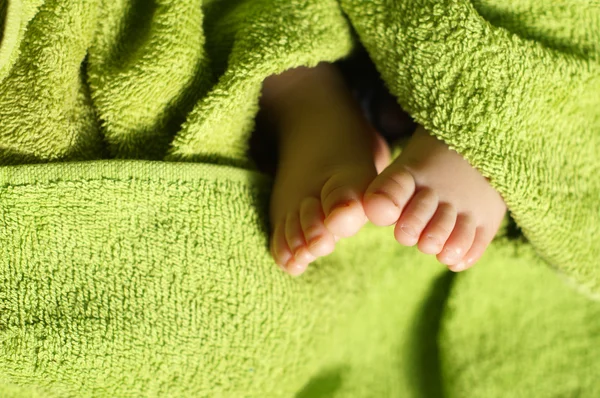 Baby Feet under blanket