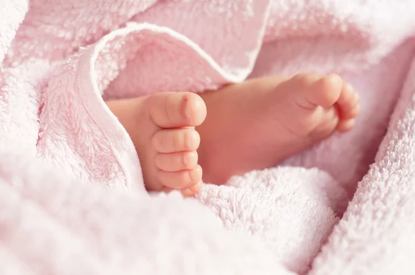 Baby Feet under blanket