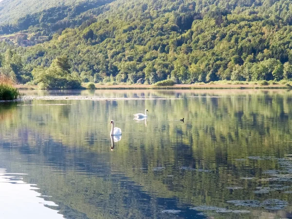 Lake Piano in the Val Menaggio