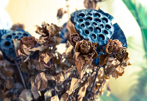 Dried roses and lotus seed pods
