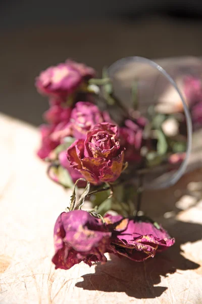 Withered roses in a vase