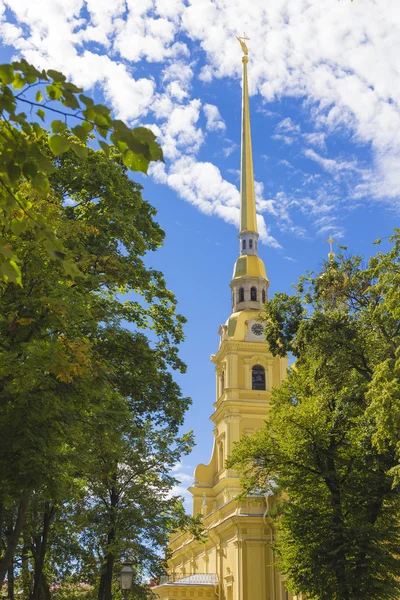 The Peter and Paul cathedral in Peter and Paul fortress.St. Pete