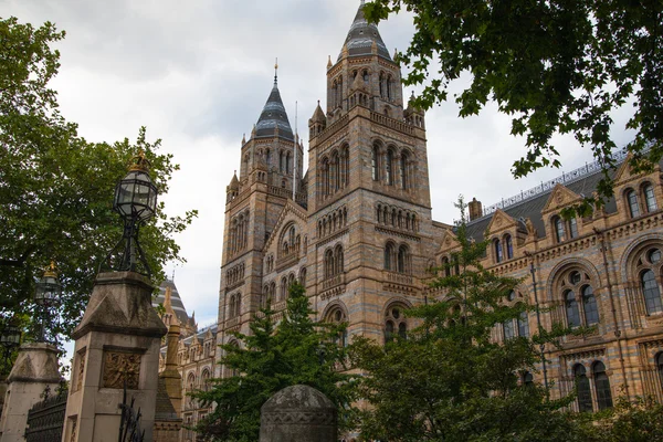 National History Museum,  is one of the most favourite museum for families in London.