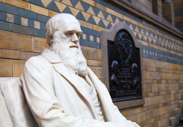 LONDON, UK - AUGUST 11, 2014: Charles Darwin monument in National History Museum,  is one of the most favorite museum for families in London.