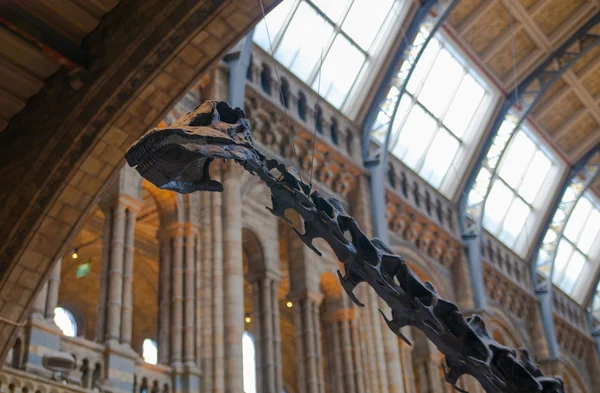 LONDON, UK - AUGUST 11, 2014: National History Museum, is one of the most favourite museum for families in London.