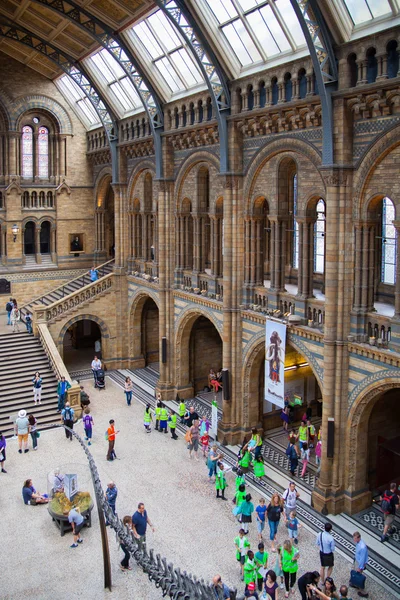 LONDON, UK - AUGUST 11, 2014: National History Museum, is one of the most favourite museum for families in London.