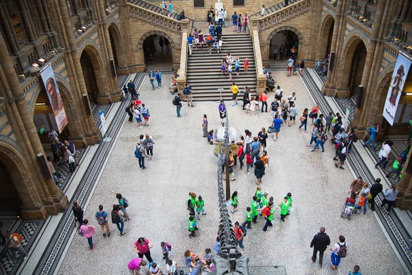 LONDON, UK - AUGUST 11, 2014: National History Museum, is one of the most favourite museum for families in London.