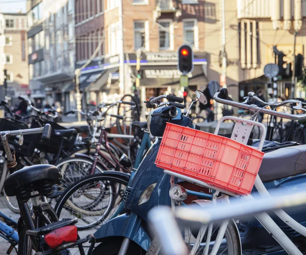 Many bicycles on street of Amsterdam city, parking ideal traffic eco healthy lifestyle concept close up at sunlight, health care style