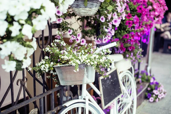 Flower in basket of vintage bicycle on vintage wooden house wall, summer street cafe