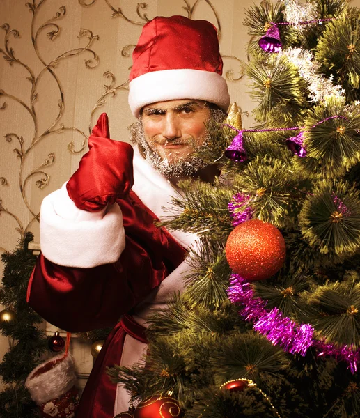Portrait of funny Santa Claus