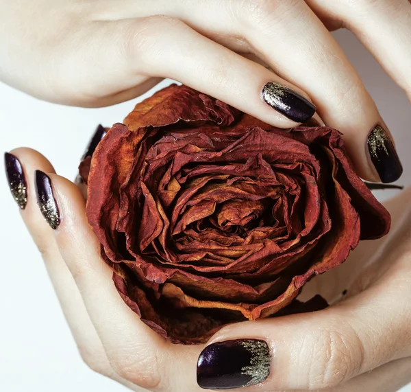 Close up picture of manicure nails with dry flower rose