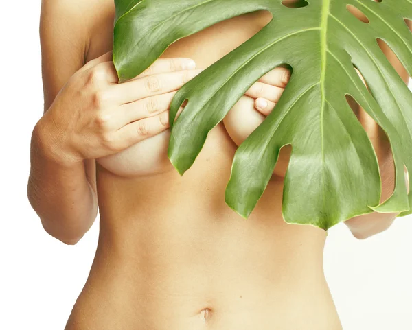 Woman breasts naked with exotic asian leaf tann isolated close up, part of body