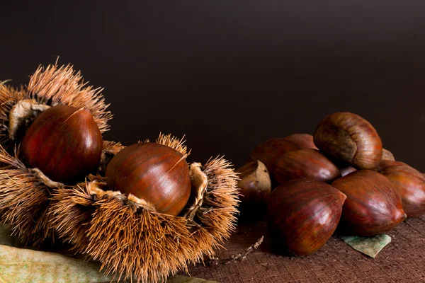 Chestnuts hedgehogs and photographed on a wood base