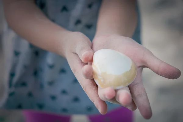 Close up of a little girl holding sea shells in her hands