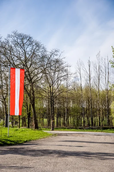 Austrian flag and forest road