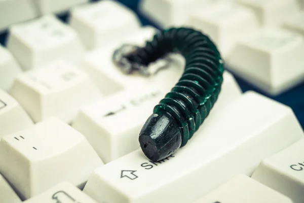 Computer worm attacking computer system
