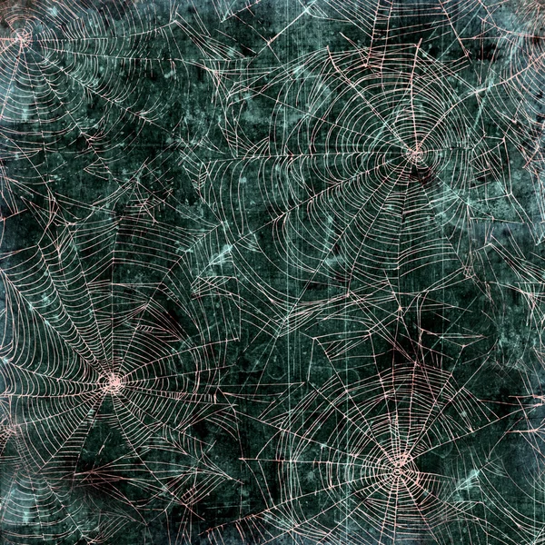 Spider web background - cobweb texture