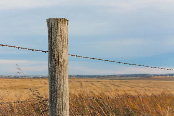Fence Post in the Prairie