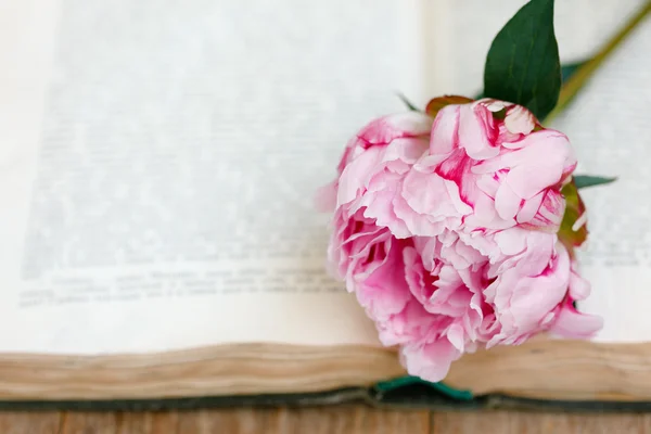 Pink peony and open book