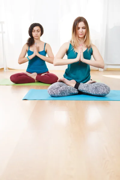 Portrait of two girls with eyes closed doing yoga exercise