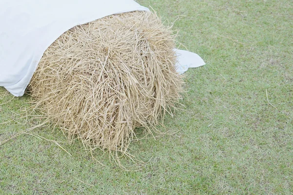 Cluster of straw with white fabric on green lawn