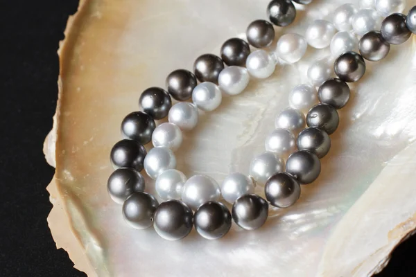 White pearl necklaces and black pearl necklaces on pearl shell
